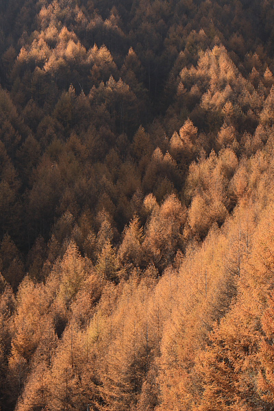 d0148125_21154867.jpg