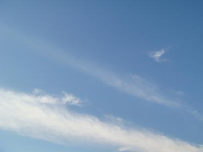 f0045530_1953267.jpg