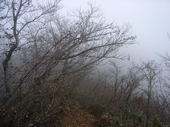 f0118332_2355319.jpg
