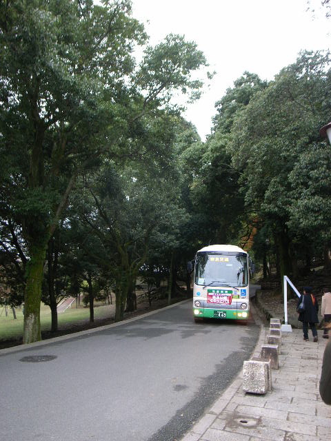 d0105133_20431439.jpg