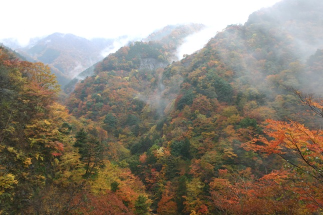 e0083238_20394412.jpg
