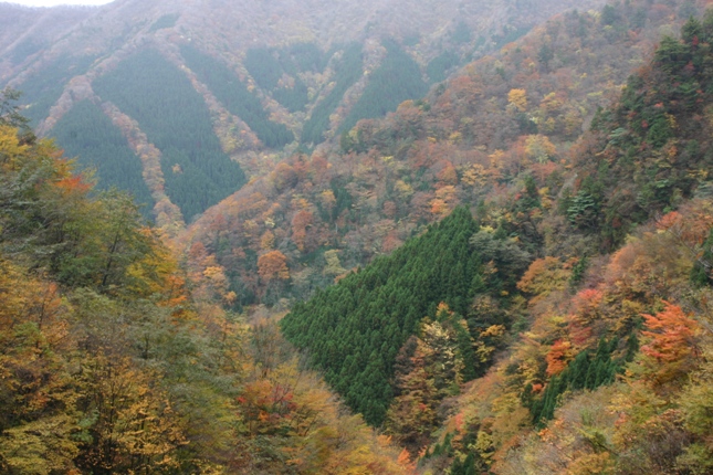 e0083238_2040422.jpg