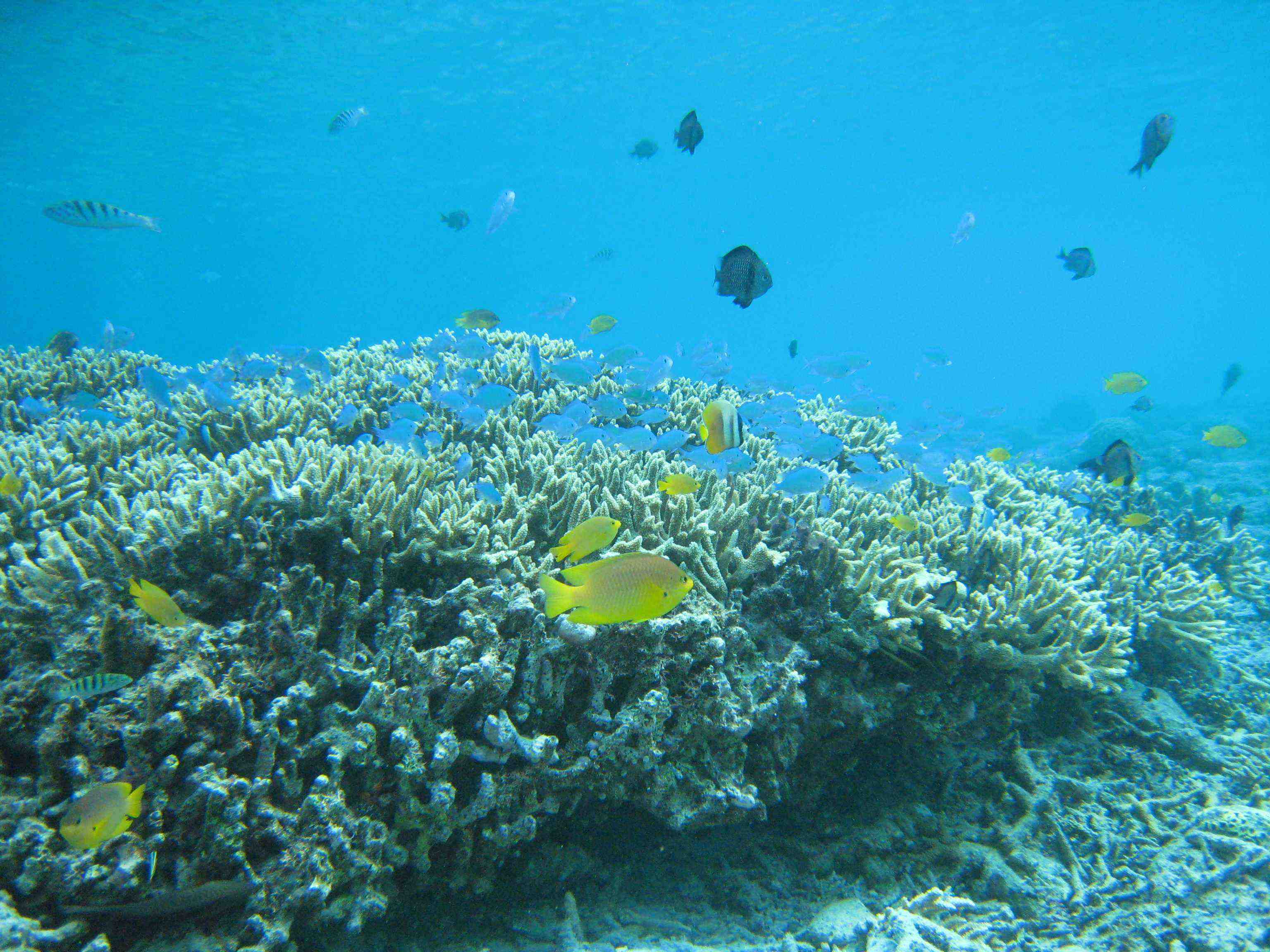 a0025847_21442986.jpg
