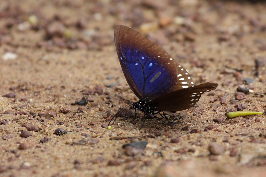 a0094850_19102499.jpg