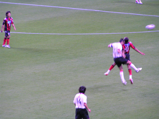 d0010257_10544883.jpg