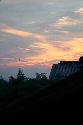 b0120159_08659.jpg