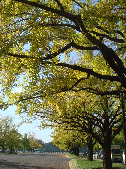 e0078564_14273980.jpg