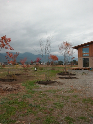 c0166668_15362993.jpg