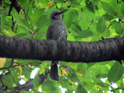 f0086169_2282915.jpg