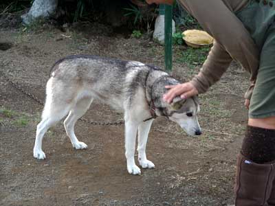 e0097770_17534359.jpg