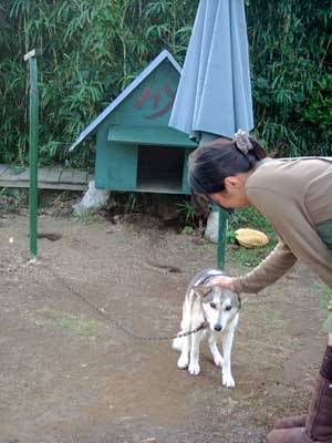 e0097770_1753532.jpg