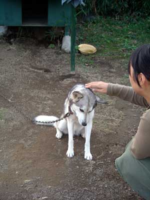 e0097770_17541793.jpg