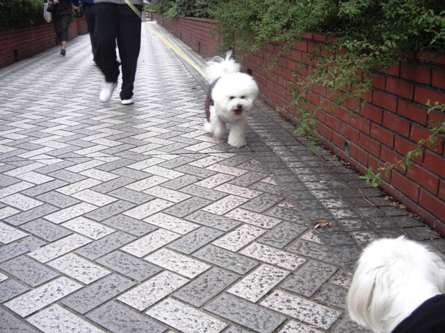 b0060071_2292567.jpg