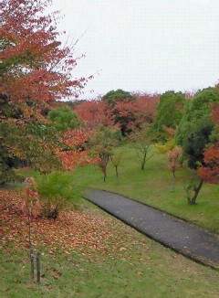 f0014371_1651588.jpg