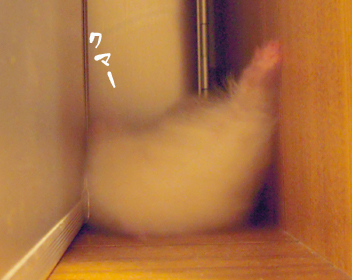 c0160473_13192445.jpg