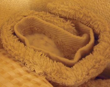 c0160473_13204561.jpg