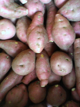 f0054677_10533887.jpg