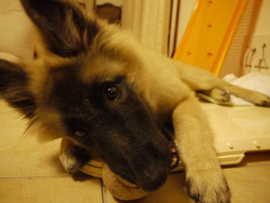 c0052779_0584943.jpg