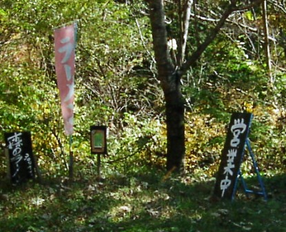 a0091680_1505413.jpg