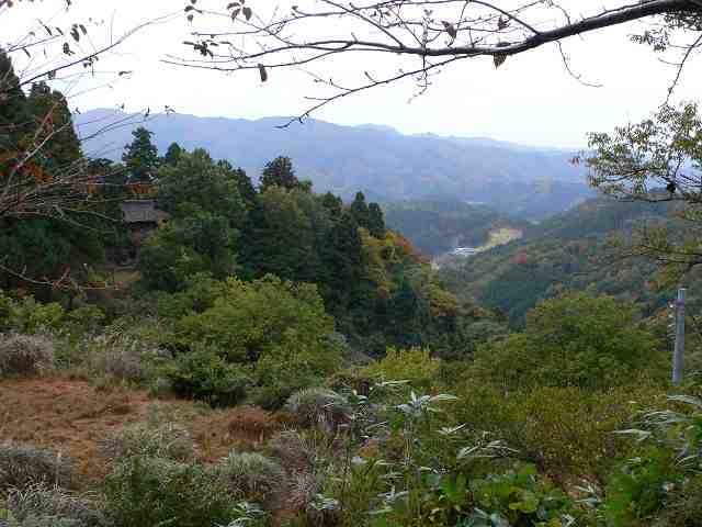 b0042882_2236334.jpg