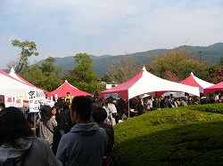 b0122182_11385390.jpg