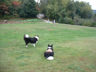 c0120585_1803669.jpg