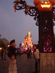 e0062785_17454437.jpg