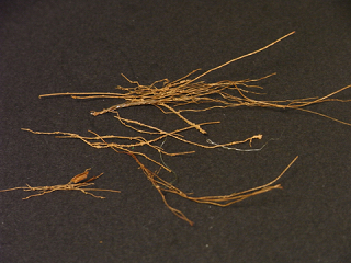 f0193485_12433491.jpg