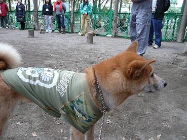 c0123890_20161610.jpg