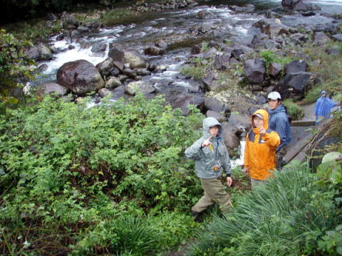 f0141392_1532537.jpg