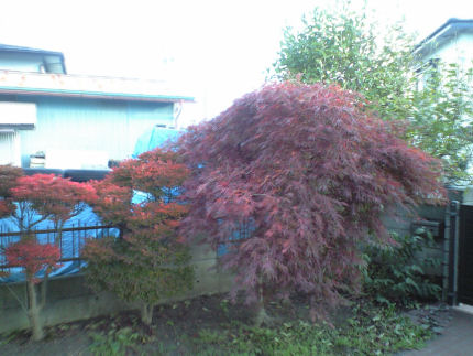 b0124693_16112624.jpg