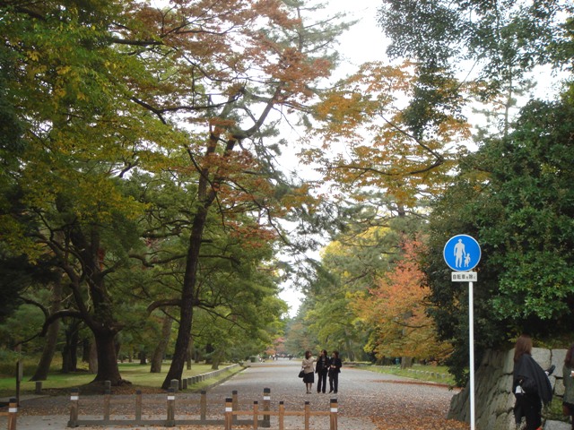 e0111793_2305720.jpg
