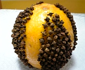 e0115693_203858100.jpg