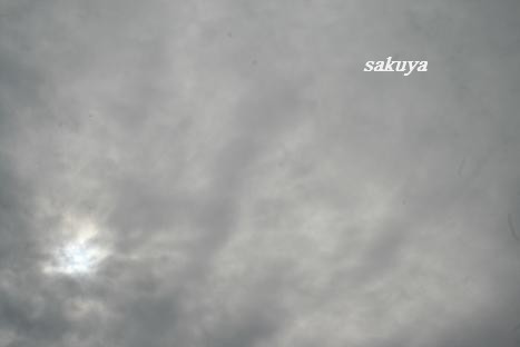 e0122194_12554475.jpg