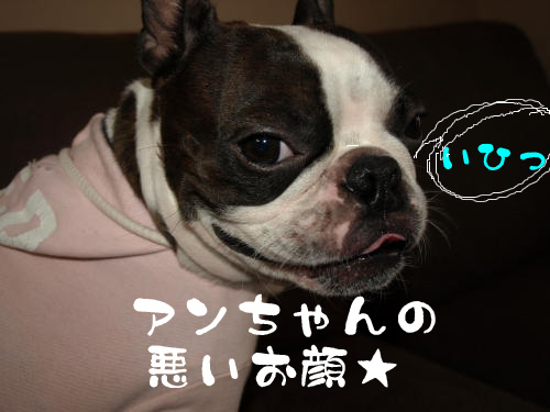 c0122897_1821080.jpg