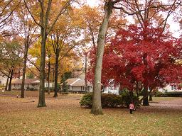 c0133498_12294849.jpg