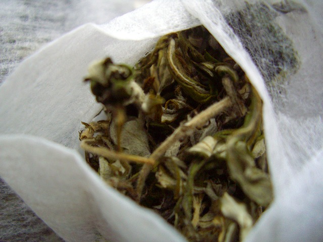 c0125702_12281855.jpg
