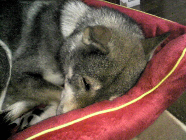 f0079202_18123626.jpg