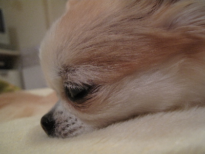 a0079803_1353062.jpg