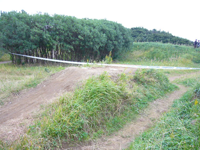 e0015108_12292149.jpg