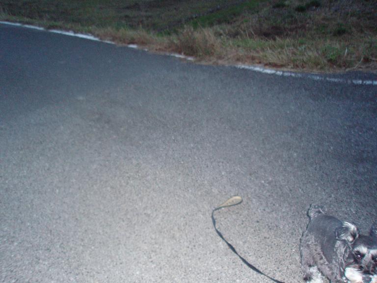 f0179209_1932065.jpg