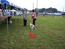 c0157412_22121176.jpg