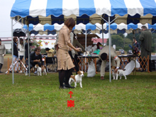 c0157412_22214033.jpg