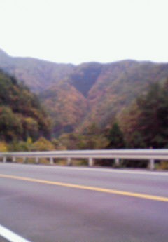c0162212_1759864.jpg
