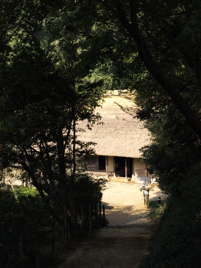 e0083212_1651111.jpg