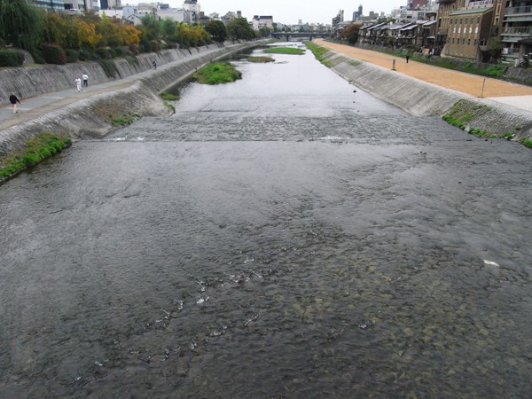 f0107315_21571224.jpg