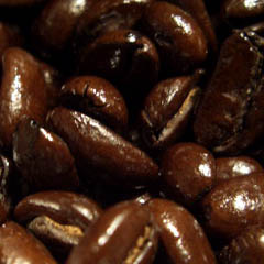 c0036617_18512431.jpg