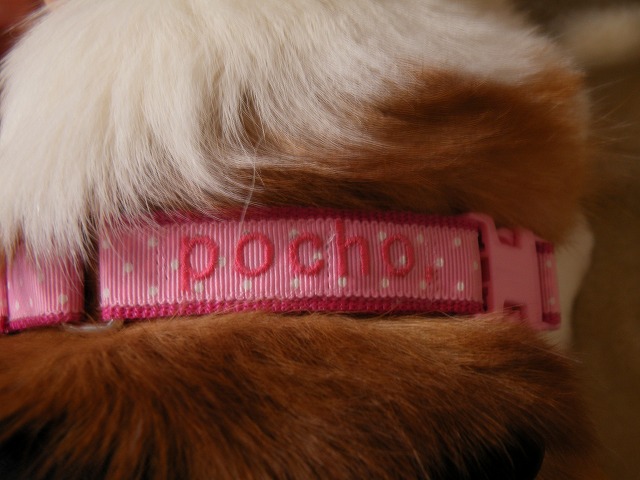 c0127617_2233379.jpg