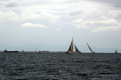 e0083517_1732399.jpg