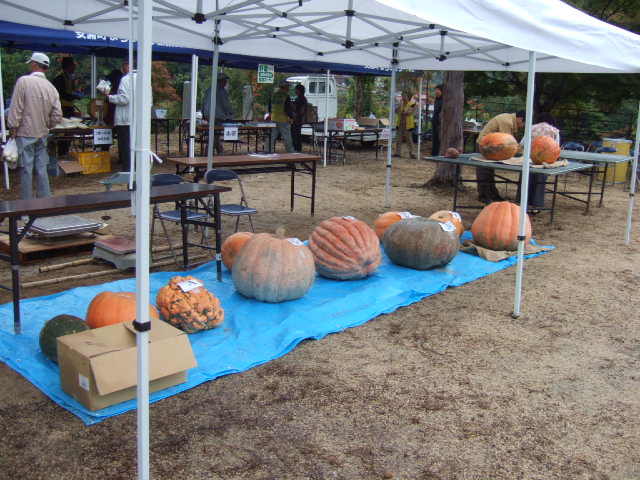 c0020725_23241982.jpg